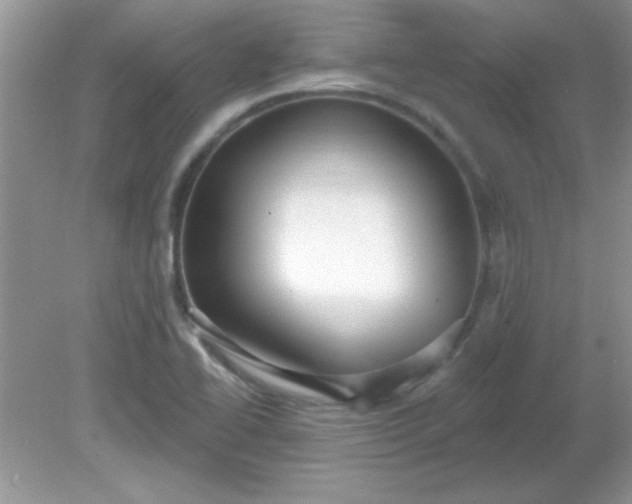 X0000081601414200701291349