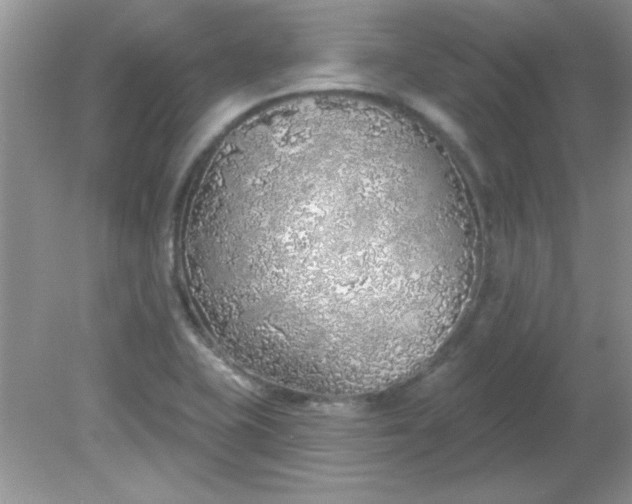 X0000081601415200701291349