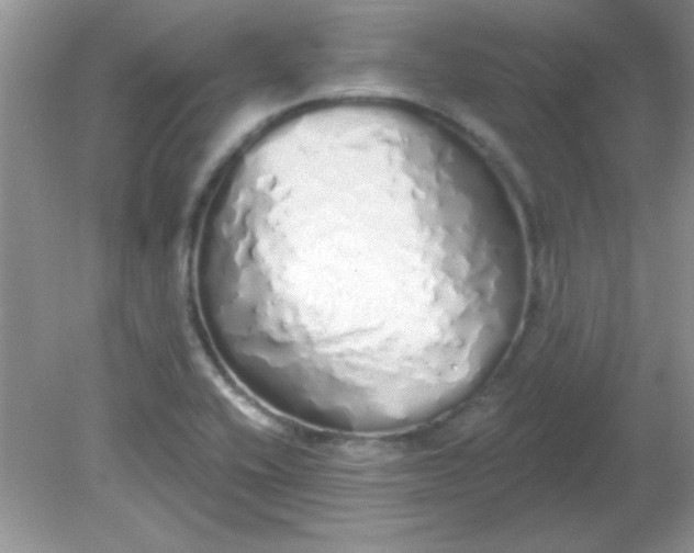 X0000081601416200701291349