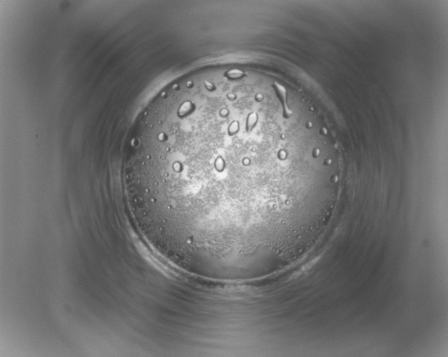 X0000081601417200701291349