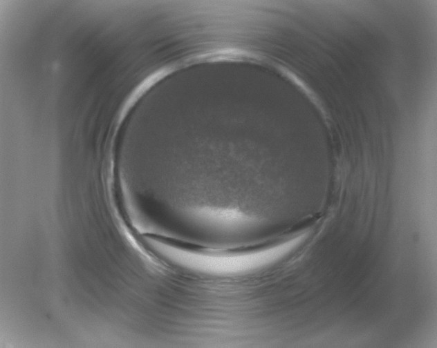 X0000081601418200701291349