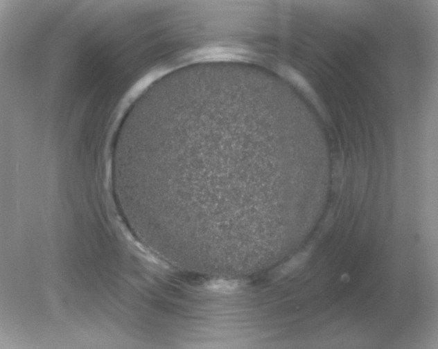 X0000081601419200701291349