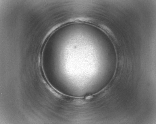 X0000081601420200701291349