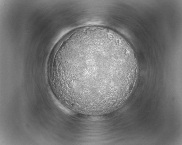 X0000081601423200701291349