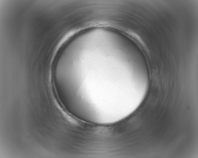 X0000081601424200701291350