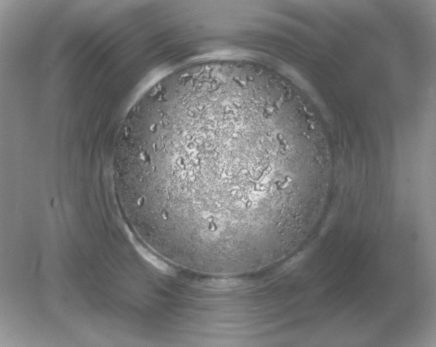 X0000081601425200701291350