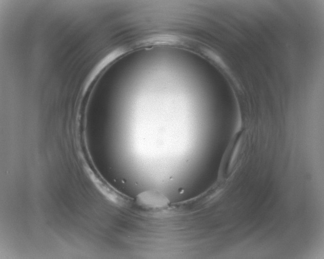 X0000081601426200701291350