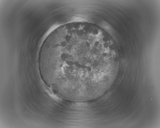 X0000081601427200701291350