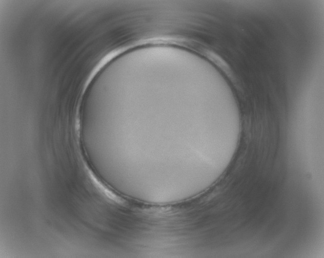 X0000081601428200701291350