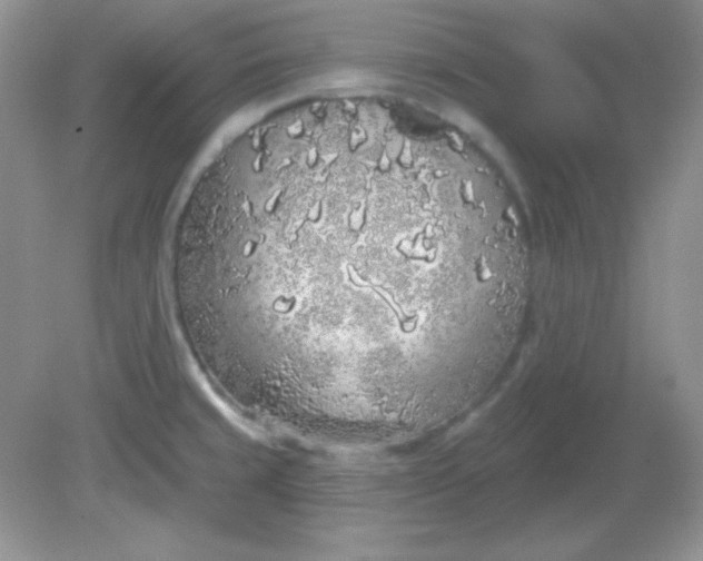 X0000081601429200701291350