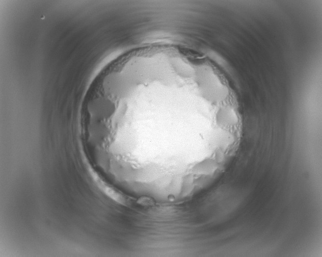 X0000081601431200701291350