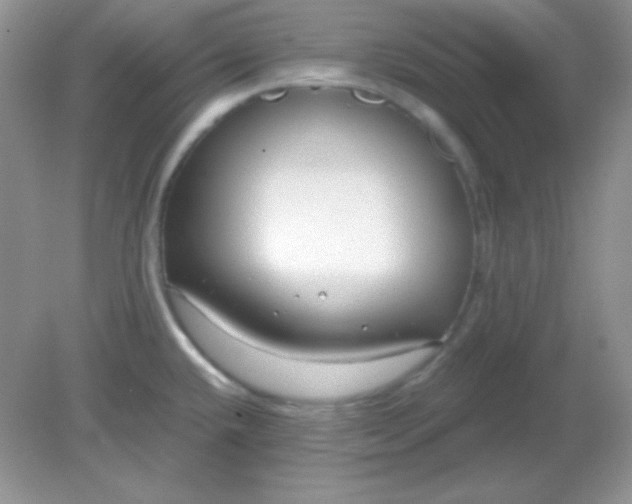 X0000081601432200701291350