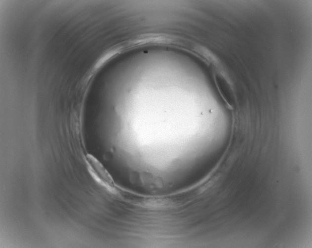 X0000081601433200701291350