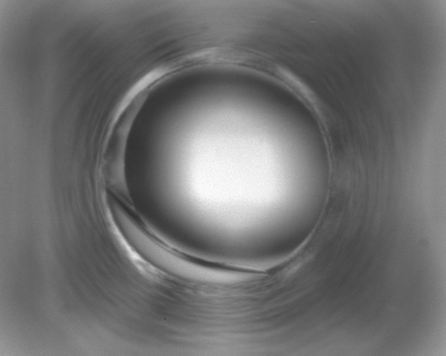 X0000081601434200701291350