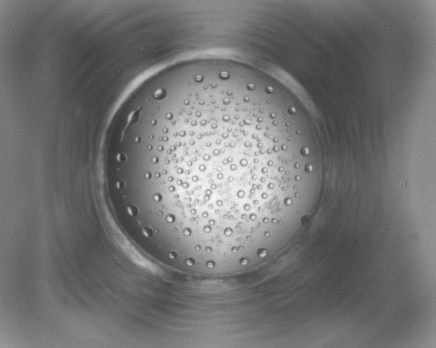 X0000081601436200701291350