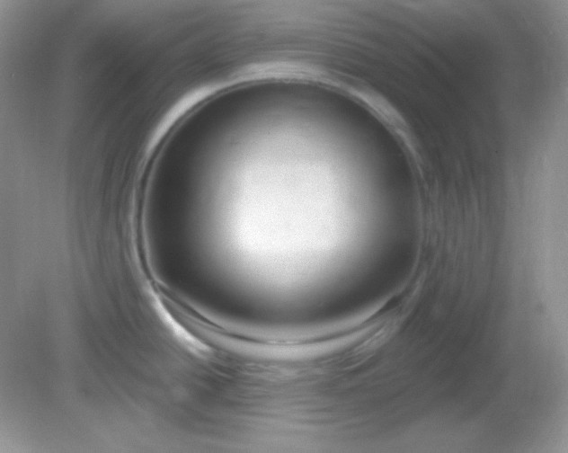 X0000081601438200701291350