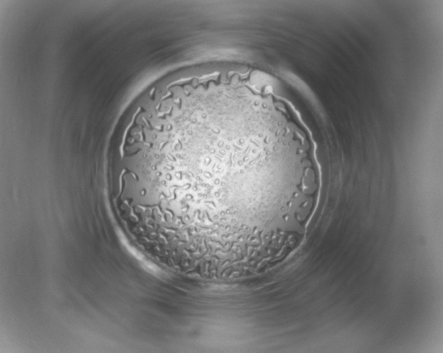 X0000081601439200701291350