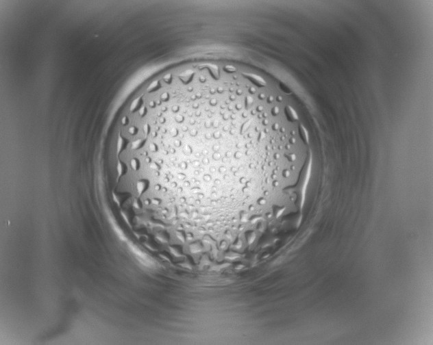 X0000081601440200701291350