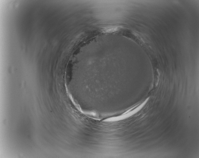 X0000081601441200701291349