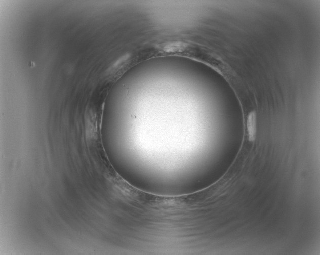 X0000081601443200701291349