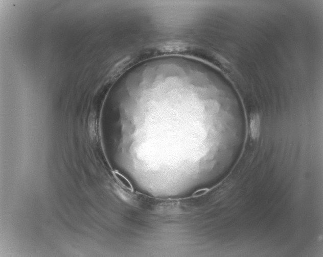 X0000081601444200701291349