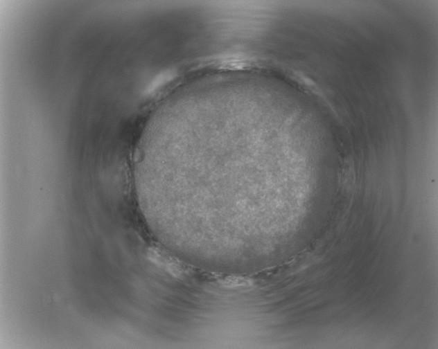 X0000081601446200701291349