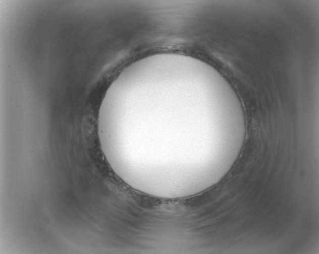 X0000081601447200701291349