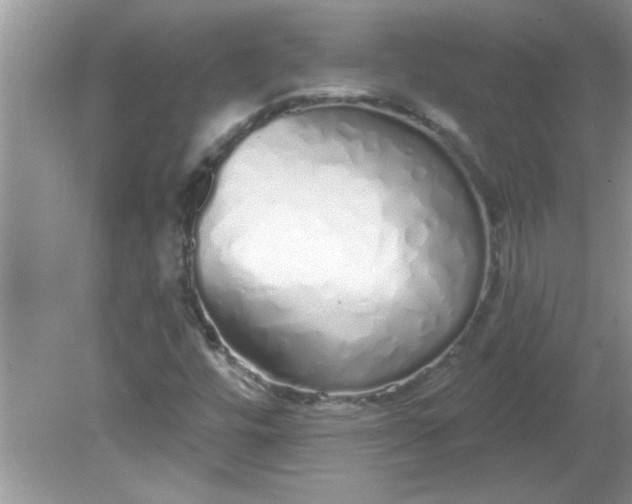 X0000081601448200701291349