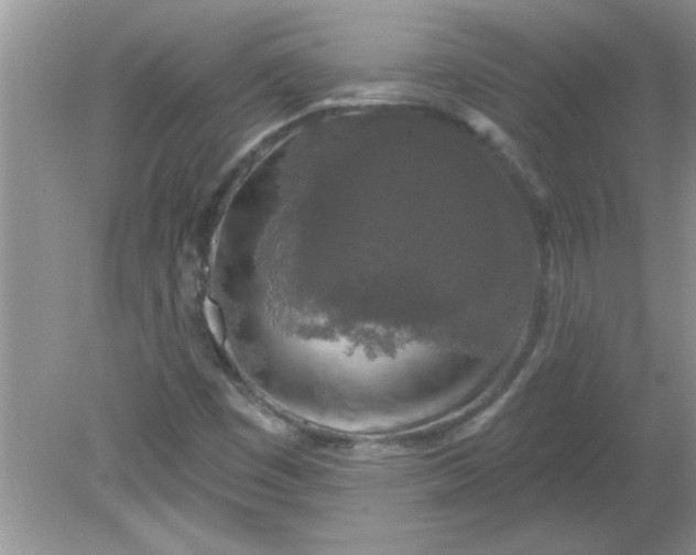 X0000081601449200701291349