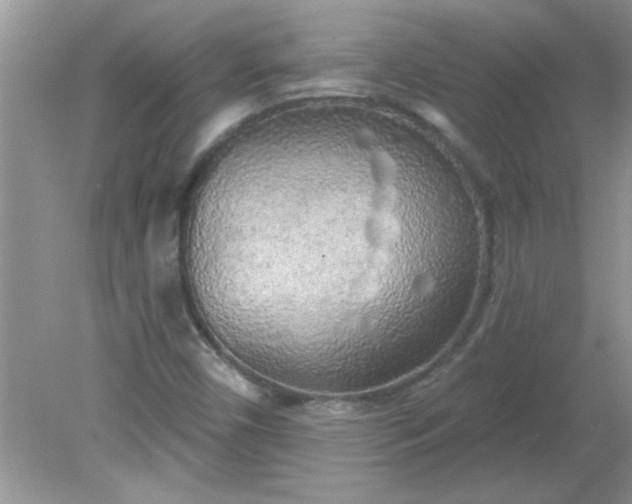 X0000081601450200701291349