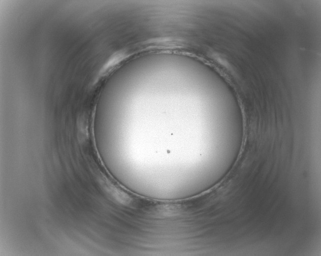 X0000081601451200701291349