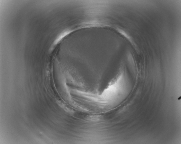 X0000081601453200701291349