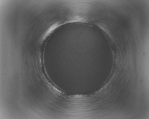 X0000081601455200701291349