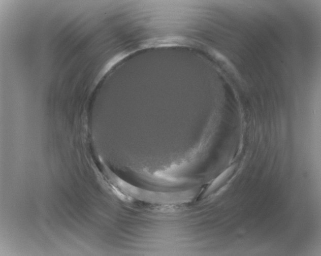 X0000081601457200701291349