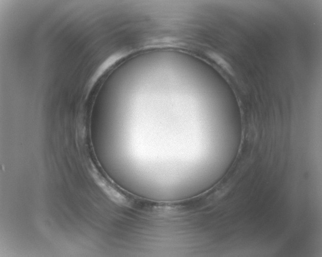 X0000081601458200701291349