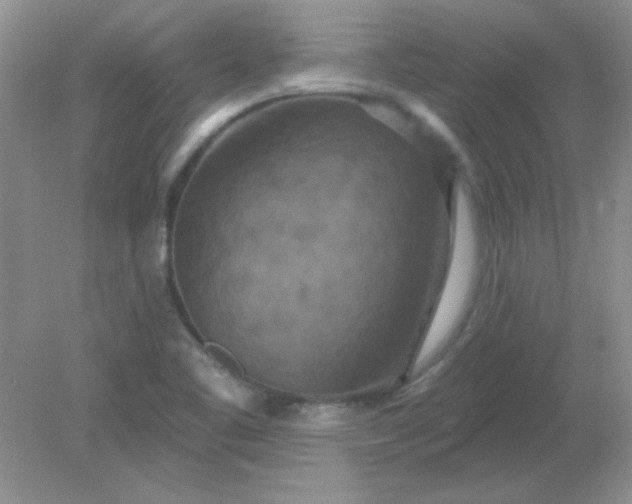 X0000081601461200701291349