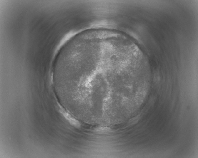 X0000081601462200701291349