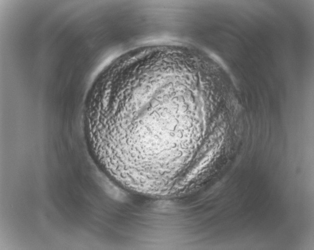 X0000081601463200701291349