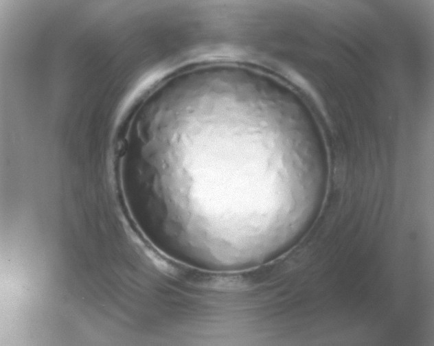 X0000081601464200701291349