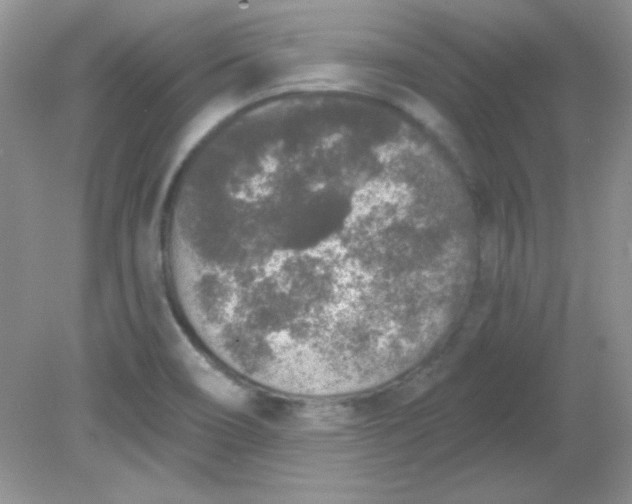 X0000081601466200701291349