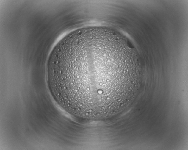 X0000081601467200701291349