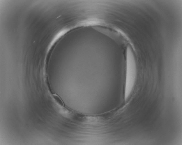 X0000081601469200701291348