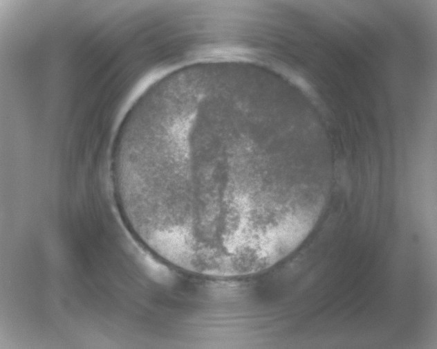 X0000081601470200701291348