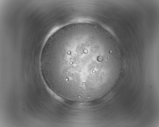 X0000081601471200701291348