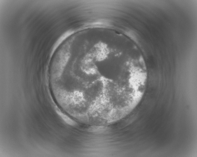 X0000081601474200701291348