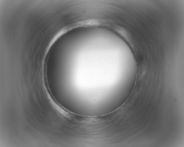 X0000081601475200701291348