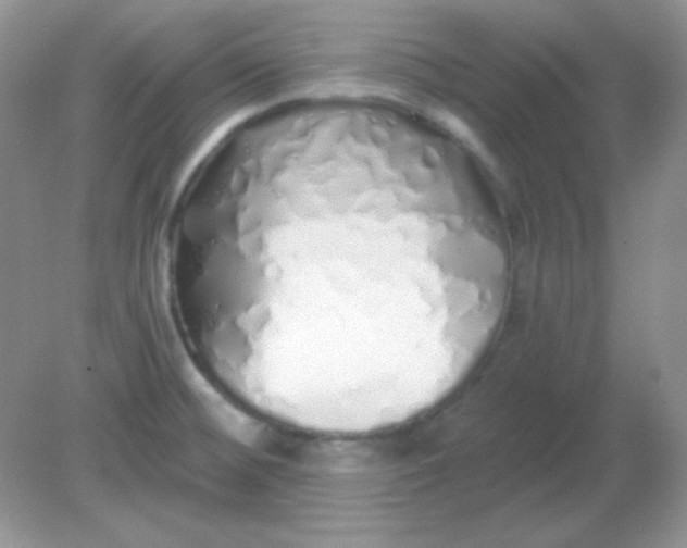 X0000081601476200701291348