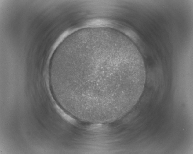 X0000081601478200701291348