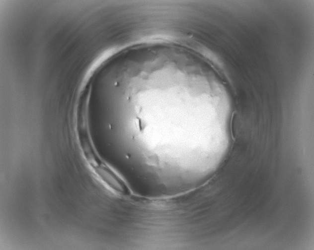 X0000081601480200701291348