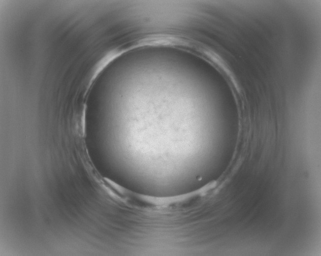 X0000081601481200701291348